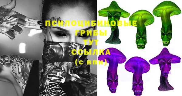 стафф Армянск